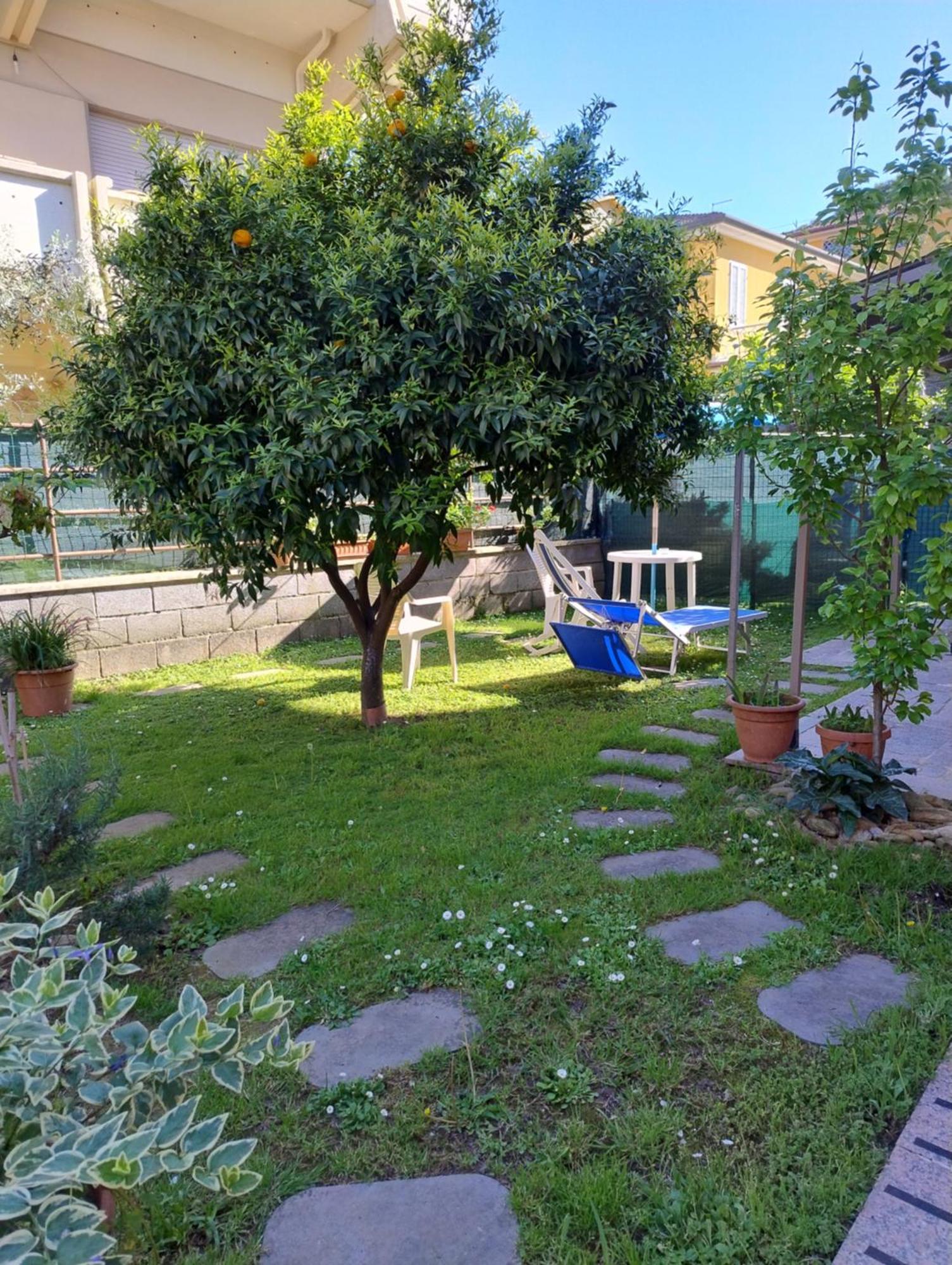 Bilocale Climatizzato A 850M Dalla Spiaggia Casa Katia マリーナ・ディ・マッサ エクステリア 写真